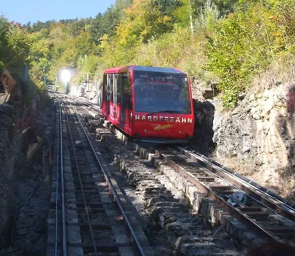 Altogold Swiss Holidays At Manor Farm 5* Interlaken