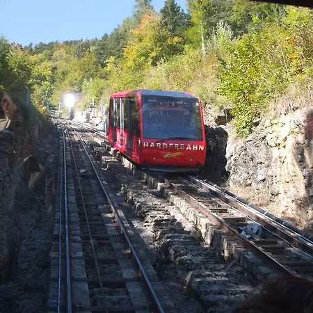 Altogold Swiss Holidays At Manor Farm 5* Interlaken