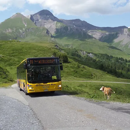 Altogold Swiss Holidays At Manor Farm 5*